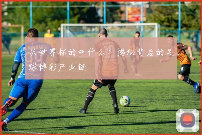 买世界杯的叫什么?揭秘背后的足球博彩产业链