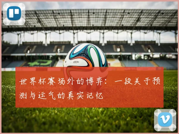 世界杯赛场外的博弈:一段关于预测与运气的真实记忆
