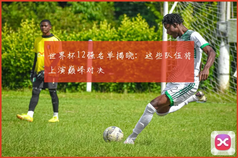世界杯12强名单揭晓:这些队伍将上演巅峰对决